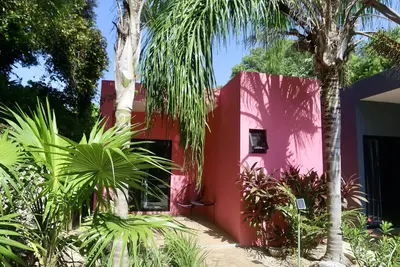 Image de Tropical Oasis in the Heart of Merida