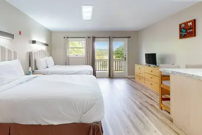 Image de Second-floor, dog-friendly studio with quiet views & gym - walk to Douglas Lake