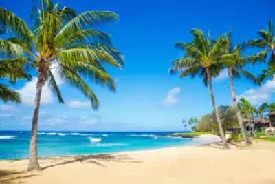 Image de Romantic getaway! Very private and comfortable home for your perfect trip! !