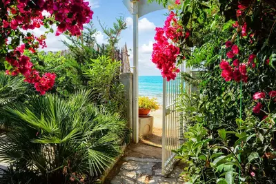 Image de Magnifique maison de 2 chambres à.