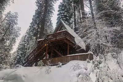 Image de Calming, dog-friendly cabin in the woods with firepit, deck & board games