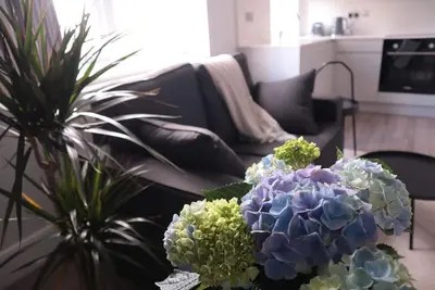 Modern and Bright Flat- in Vibrant Camden