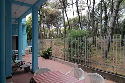 Image de Bibbona Summer - Pineta 1