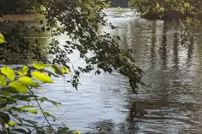 James River Cottage with 2 Kayaks