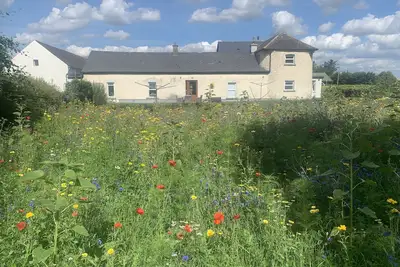 Image de Wildflower Farm Cottage