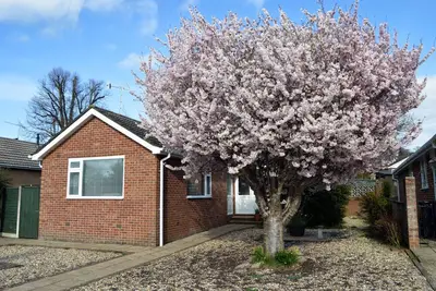 Image de Relaxing, Comfortable Bungalow a Short Walk From Wimborne Minster