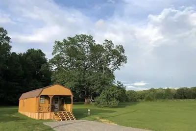 Image de Big Tree Little Cabin