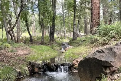 Image de Bonita Creek Cabin
