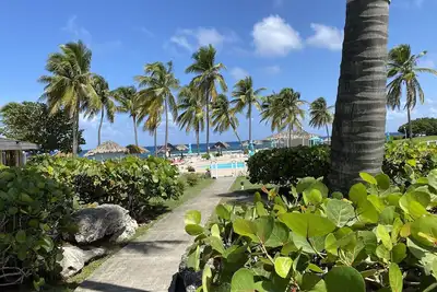 Image de Tropical Haven