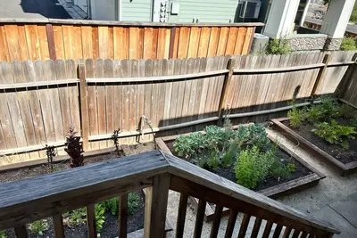 Beautiful House with Amazing Backyard in the Heart of Downtown Napa!