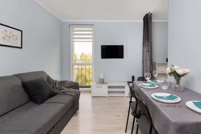 Dworska 22 | Modern Apartment | Pets Allowed