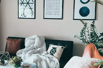 Image de Plant Lover’s Bachelor Pad