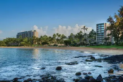 Image de 2 Bedroom Ocean View, Marriott's Kaua'i, Kitchenette, Access to Resort Amenities