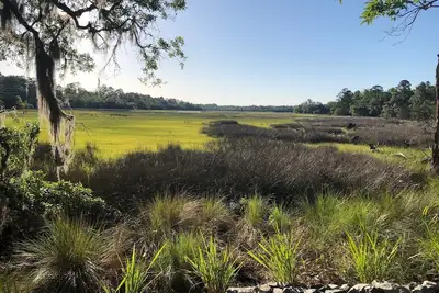 Image de Shellman Bluff Ga & Harris Neck 0. 5mi. Bird Nest Your perfect Nest & Marsh View
