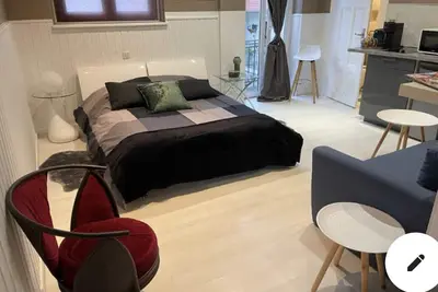 Image de Appartement cosy quartier parlement orangerie  à 5 mn du centre ville