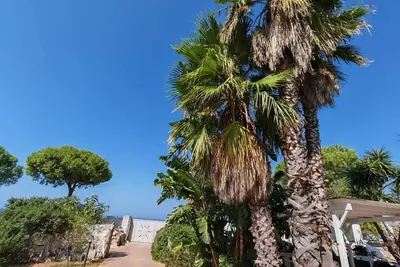 Image de Residence The Carrube - Cactus