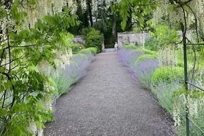 Image de Truly authentic Walled Garden Cottage.