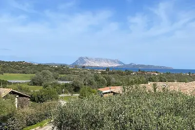 Image de Belvedere House