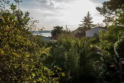 Image de Appartements Pavlina (79846-A2) - Starigrad Paklenica