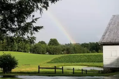 Image de Enjoy peaceful farm life! Pet-friendly, 23 acres, baby goats and chickens!
