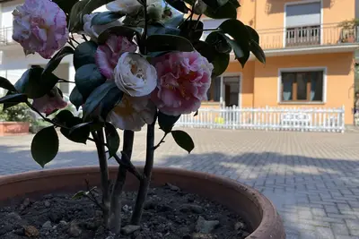 Ca' del Fili