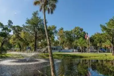 Image de Homosassa Gem