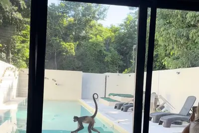 Image de Casa en Riviera Maya con alberca privada