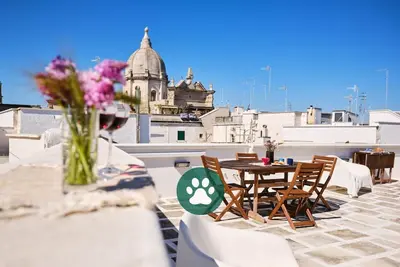 Image de Central Seaview panoramic terrace with Air Condition -  Old town