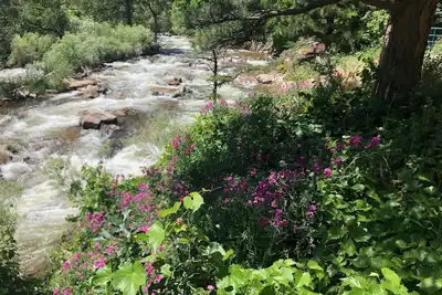 Image de Your Own Private Beach! Minutes from Cu, Pearl Street, Creekpath & More!