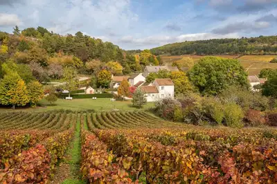Image de Maison d'hôte entière en toute autonomie