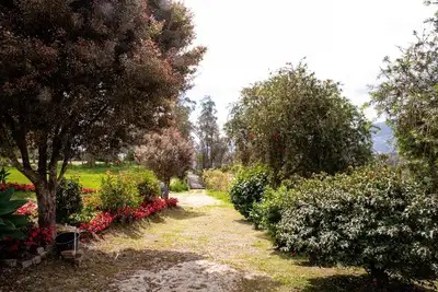 Image de Remodelled Cosy House in the Country Side Stunning Mountain View - Close to City