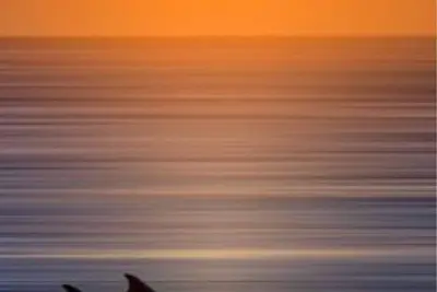 Moonlight Beach Getaway - Right at the beach!