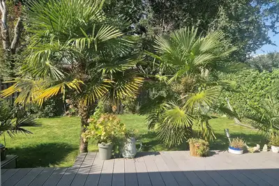 Image de 2-bedroom palm tree house in fantastic Lemmer with WiFi