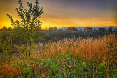 Image de All 4 Triple View Tiny Homes