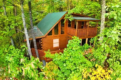 Image de Relax Above the Smokies · Bearway to Heaven