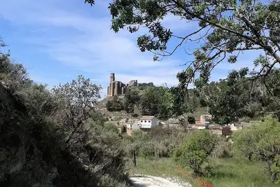 Image de Loft of 110m2, pets allowed.