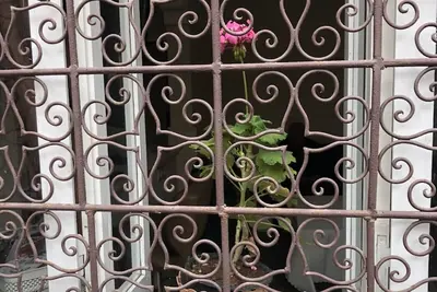 Image de Appartement Chez Les Parents D'Essaouira