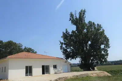 Image de Juine - Fargues - Gîte
