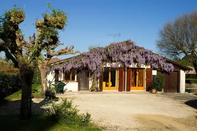 Image de Gîte de la Mousque - Castets