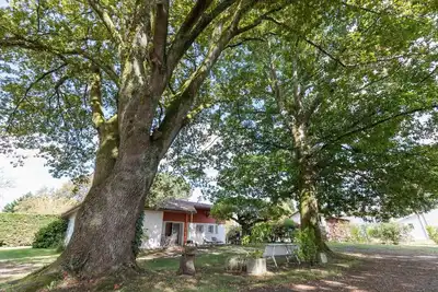Image de L'atelier - Taller - Gîte