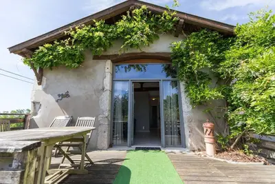Image de Cabernet - Benesse-Les-Dax