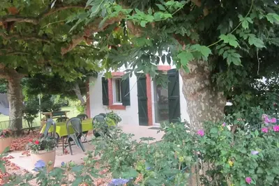 Image de Les platanes - St-Martin-De-Seignanx