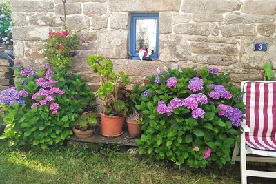 Image de Petite maison dans village de campagne, à proximité de sentiers de randonnées