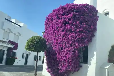 Image de Maison de ville à Marbella Guadalvillas