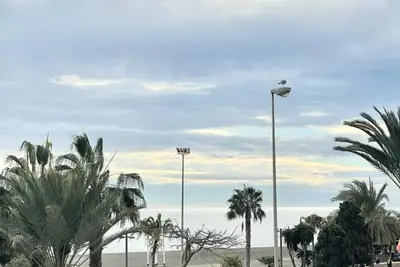Image de Terrasol San Gerardo 2-2-2 Frontal Al Mar