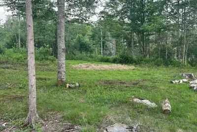 Image de Blueberry Woodland Hideaway Camping Spot 1