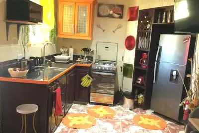 Cozy House