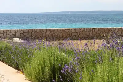 Image de Appartement d'une chambre prés de la plage Lun, Pag (A-3320-c)
