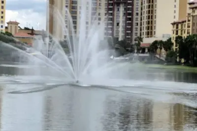 Image de A vacation to remember at Bonnett Creek, Orlando, Florida