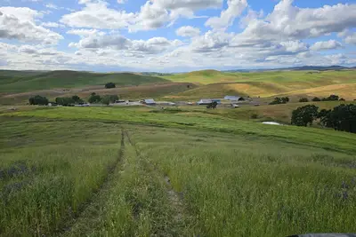 Image de Paso Robles Ultimate Farm Stay! Country Oasis! ! Very Unique! ! !
